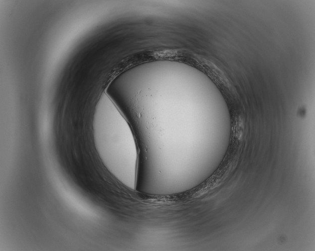 X0000095920763200801110855