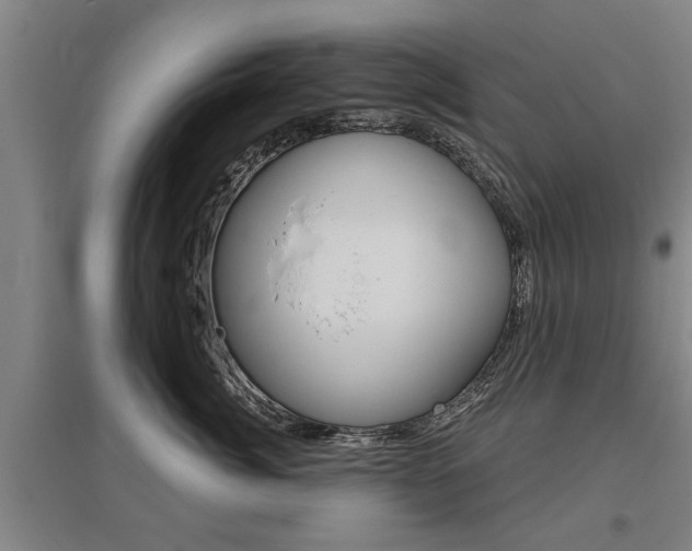 X0000095920764200801110855