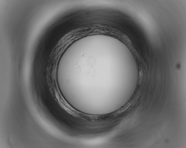 X0000095920765200801110855