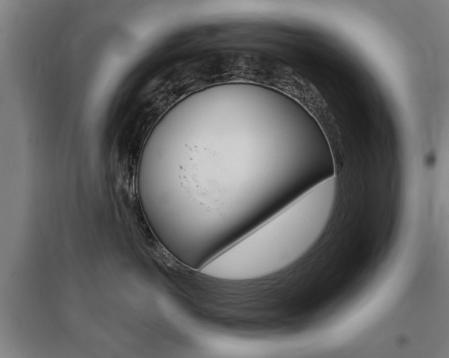X0000095920766200801110855