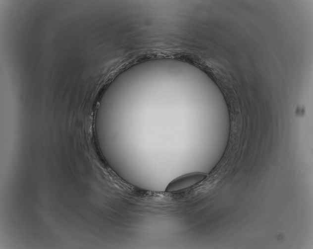 X0000095920768200801110855