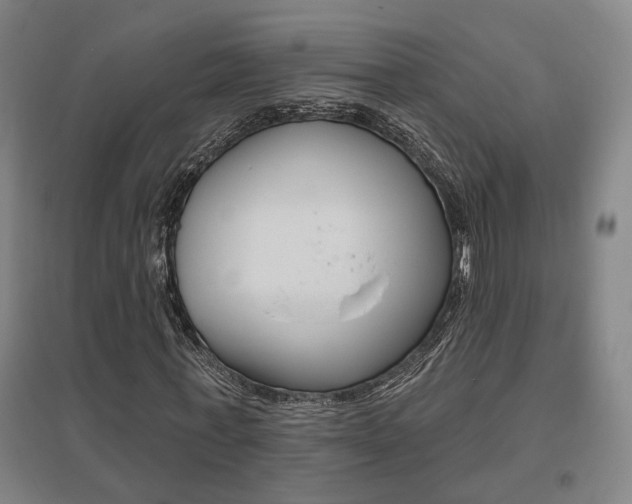 X0000095920771200801110854