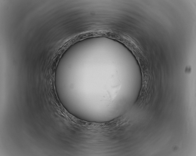 X0000095920773200801110854