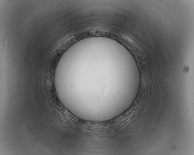X0000095920774200801110854