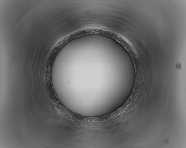 X0000095920775200801110854