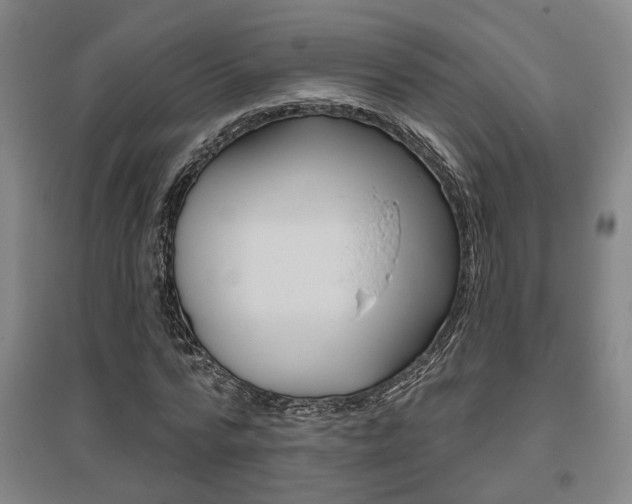 X0000095920776200801110854
