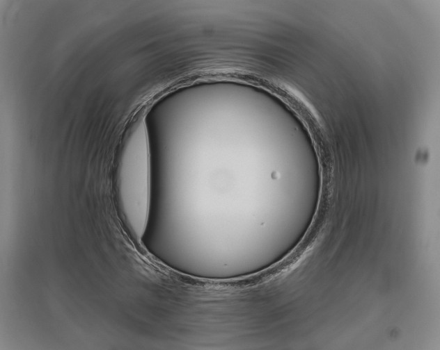 X0000095920777200801110854