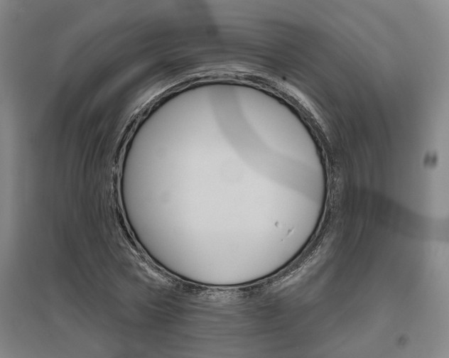 X0000095920778200801110854