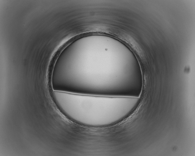 X0000095920780200801110854