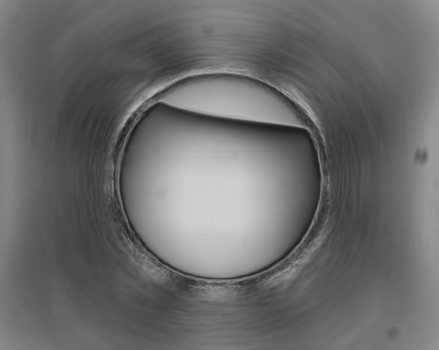 X0000095920781200801110854