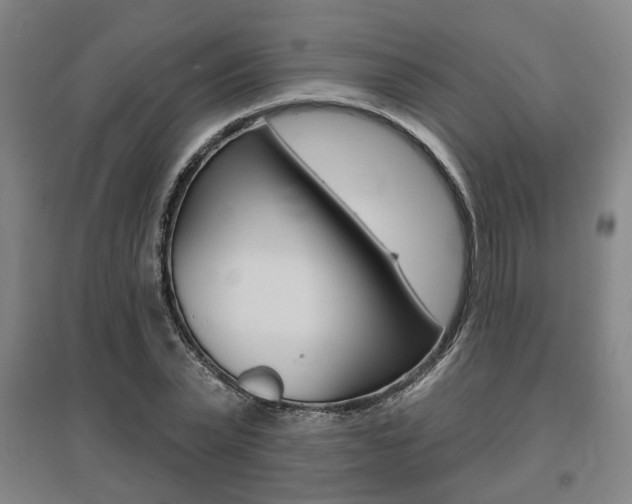X0000095920783200801110854