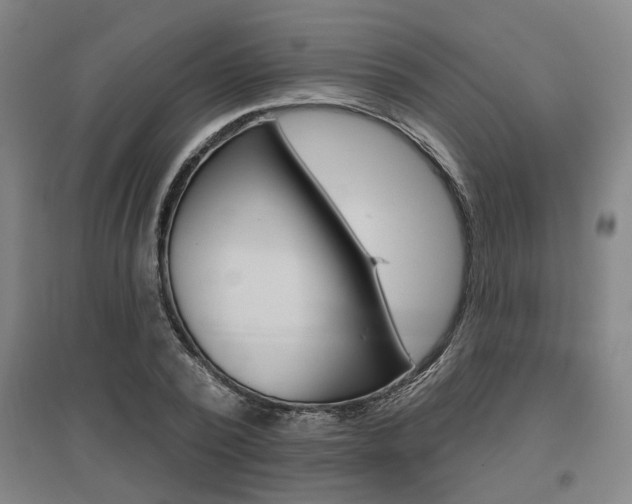X0000095920784200801110854
