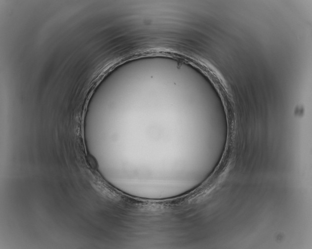 X0000095920785200801110854