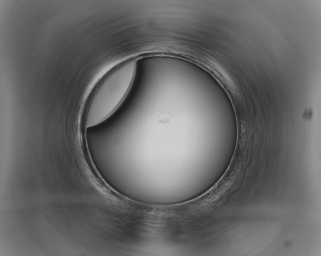 X0000095920788200801110854