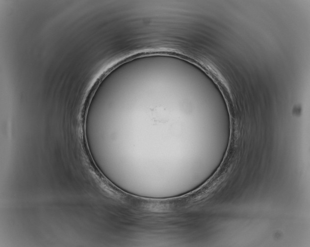 X0000095920789200801110854