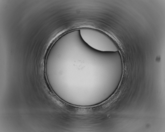 X0000095920790200801110854