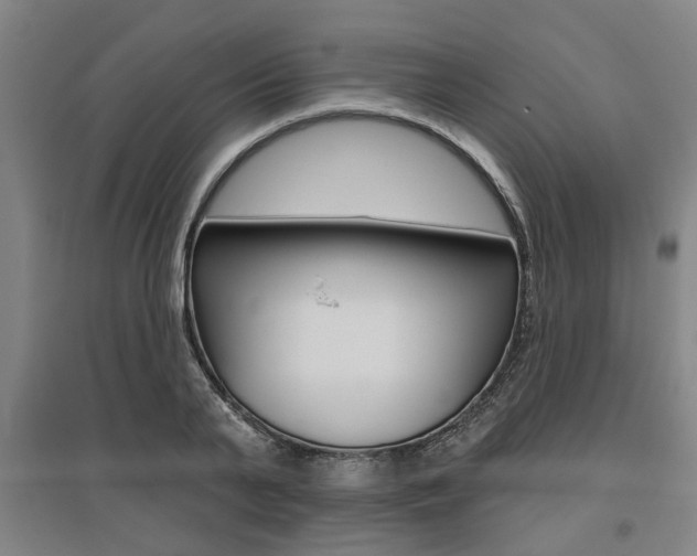 X0000095920791200801110854