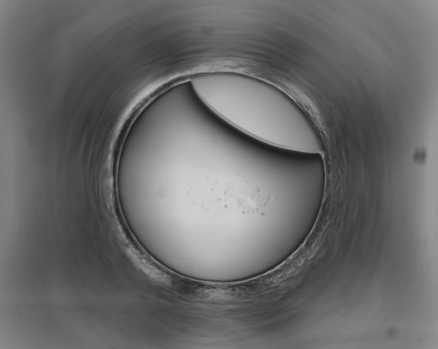 X0000095920792200801110854