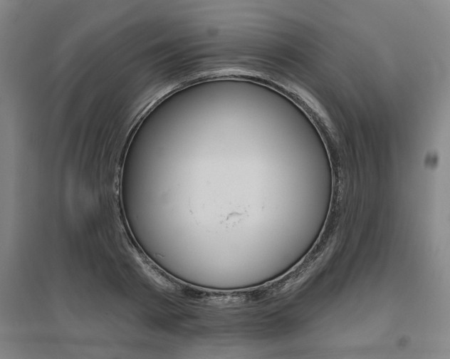 X0000095920793200801110854