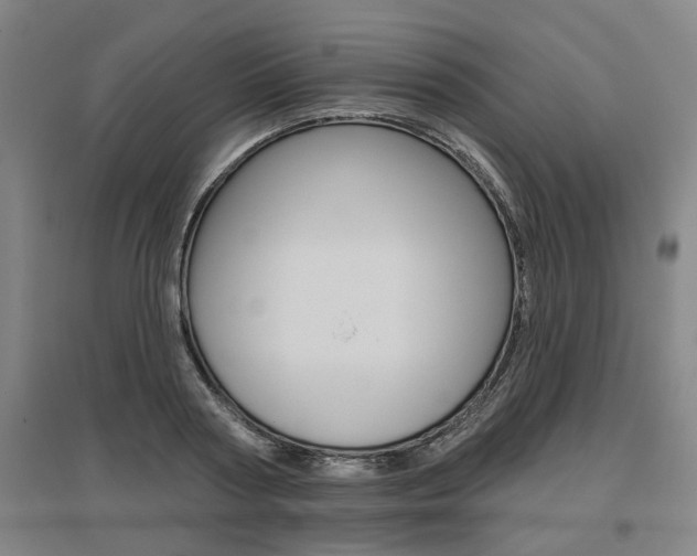 X0000095920794200801110854