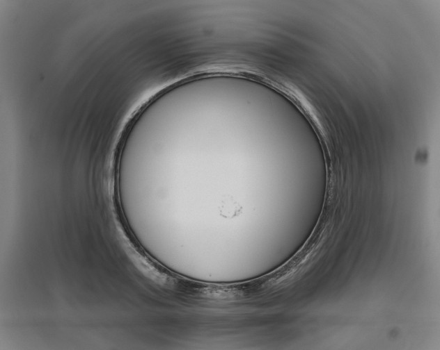 X0000095920795200801110854