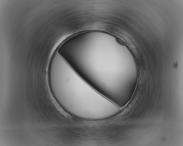 X0000095920796200801110854