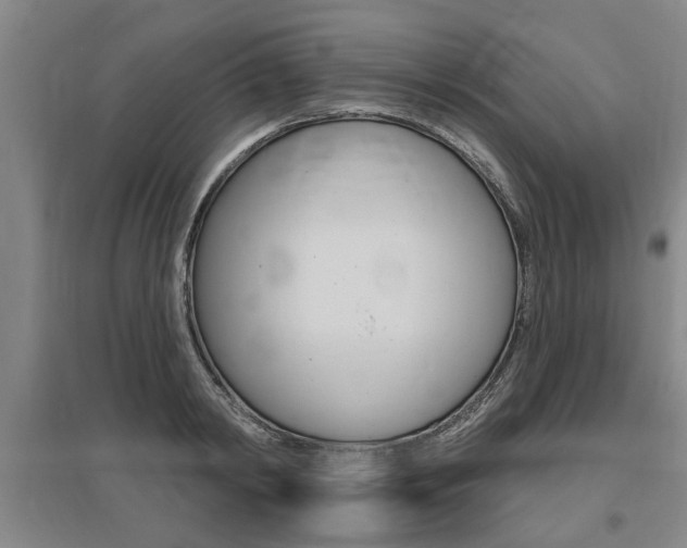 X0000095920798200801110854
