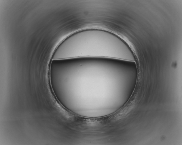 X0000095920799200801110853