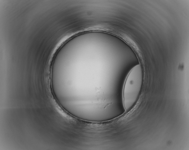 X0000095920800200801110853