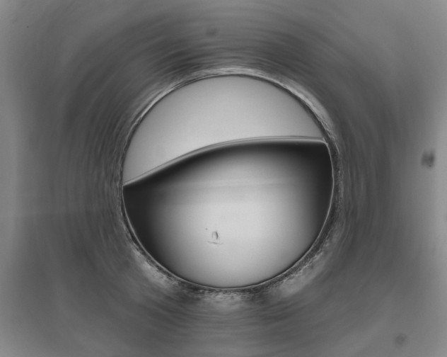 X0000095920801200801110853