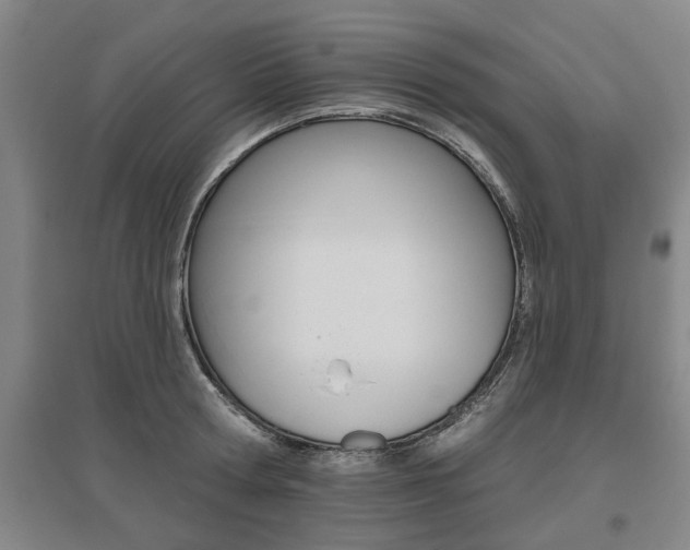 X0000095920802200801110853
