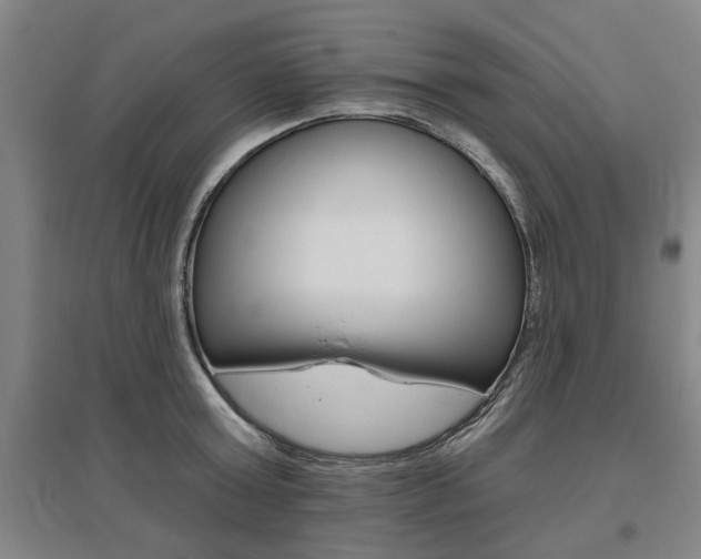 X0000095920803200801110853