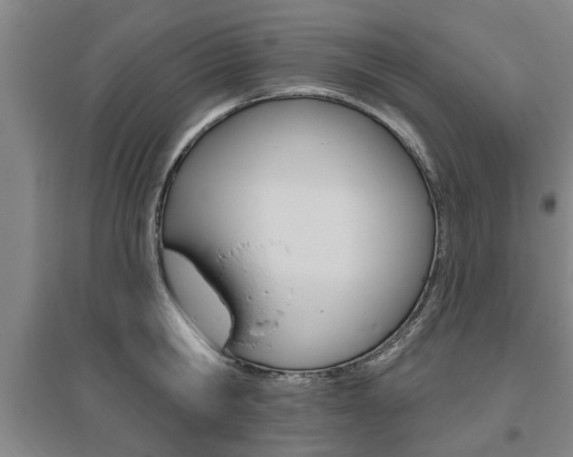 X0000095920806200801110853
