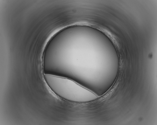 X0000095920808200801110853