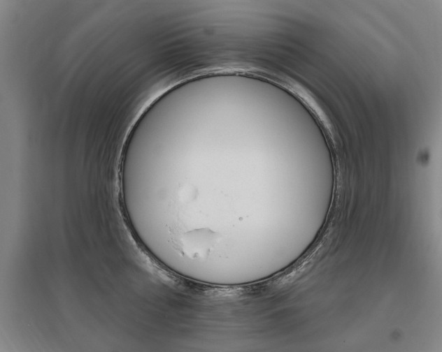 X0000095920810200801110853