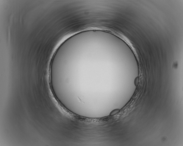 X0000095920811200801110853