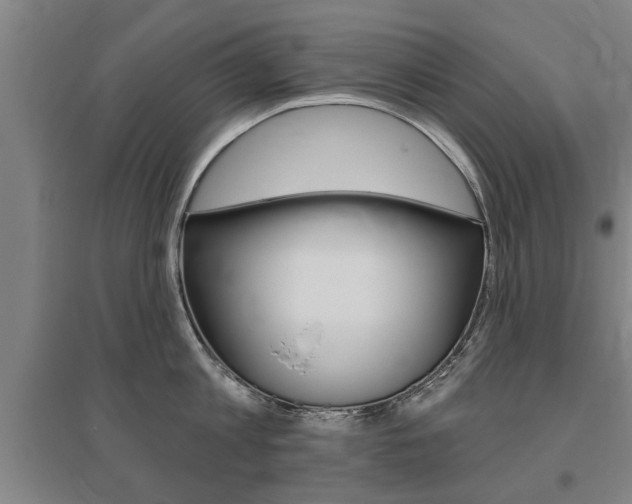 X0000095920813200801110853