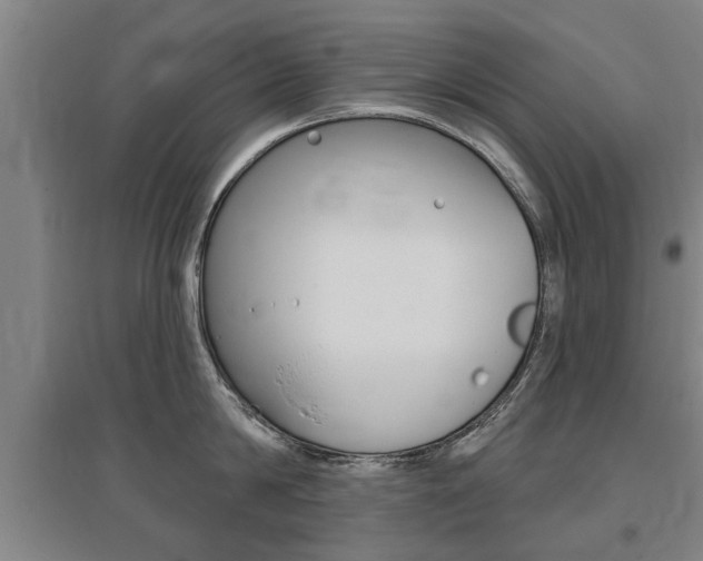X0000095920814200801110853