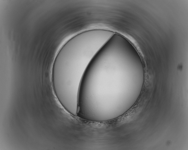 X0000095920815200801110853