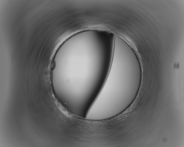 X0000095920816200801110853