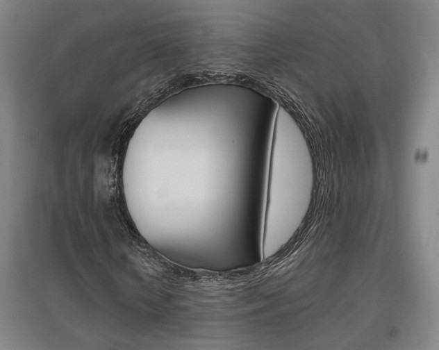 X0000095920818200801110853