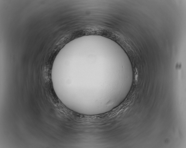 X0000095920819200801110853