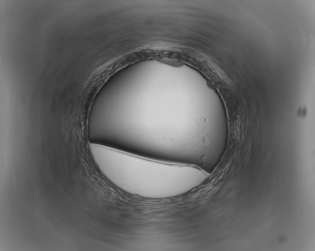 X0000095920821200801110853