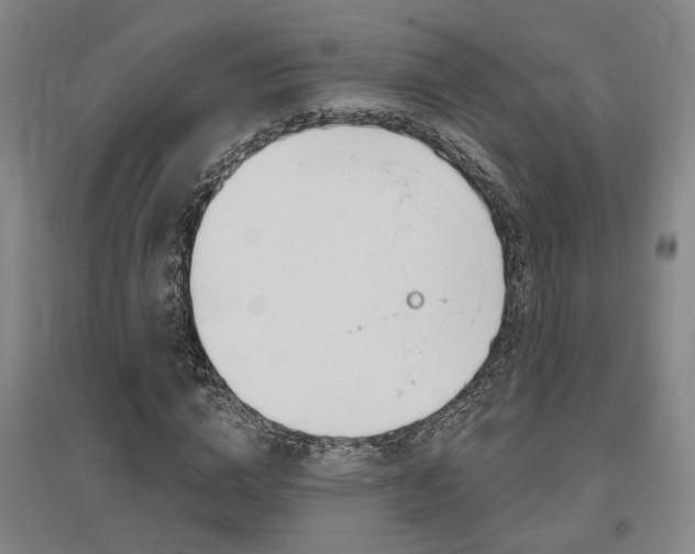 X0000095920824200801110853