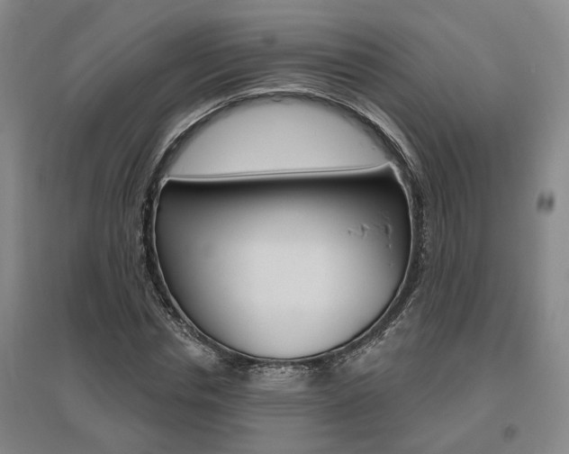 X0000095920826200801110853