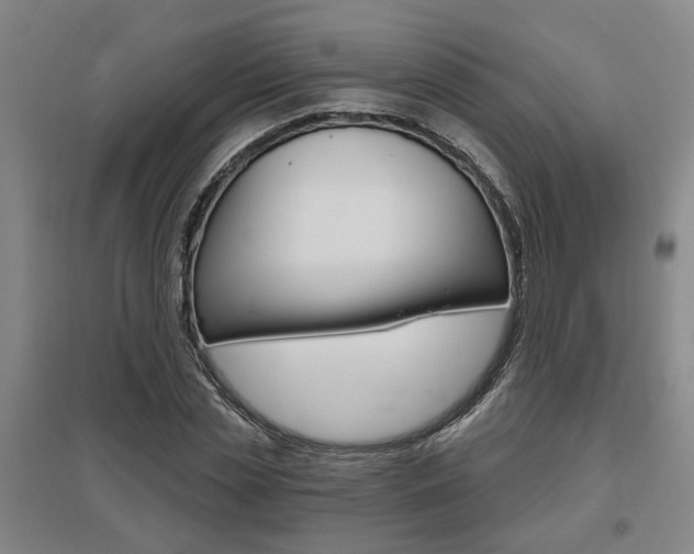 X0000095920829200801110853