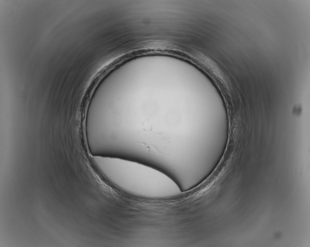 X0000095920831200801110853