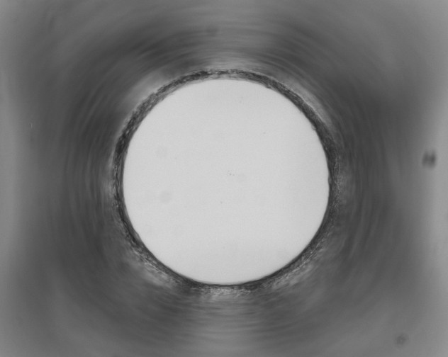 X0000095920832200801110853