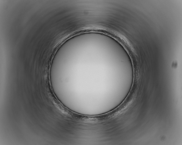 X0000095920833200801110853