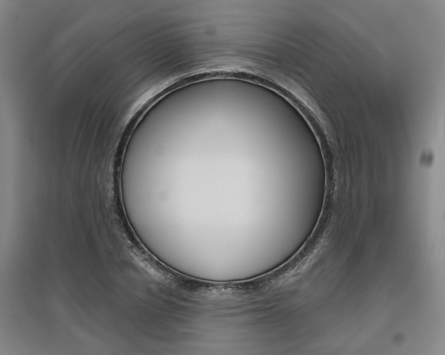 X0000095920834200801110853